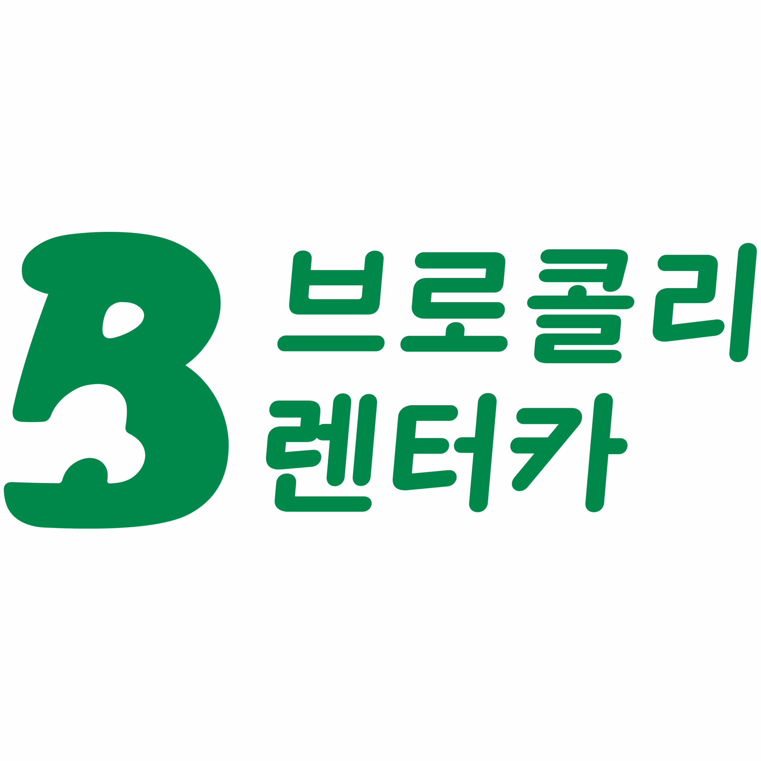 브로콜리렌터카