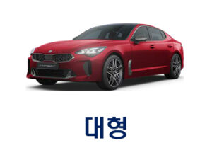 대형