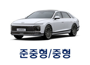 중형/준중형